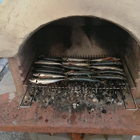 Tea 公寓